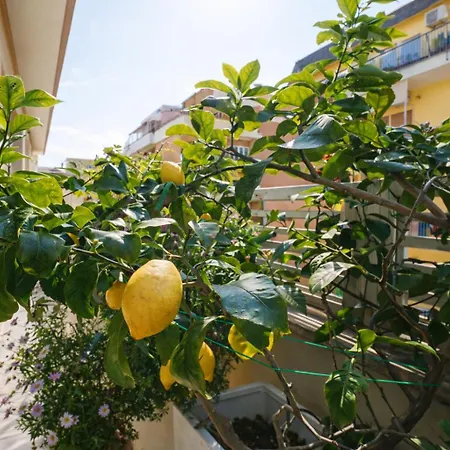 Апартаменты Elegantis Terrazze Al Vaticano - Your Chic Retreat In Рим