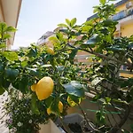公寓 Elegantis Terrazze Al Vaticano - Your Chic Retreat In 罗马