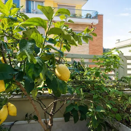 Elegantis Terrazze Al Vaticano - Your Chic Retreat In شقة *